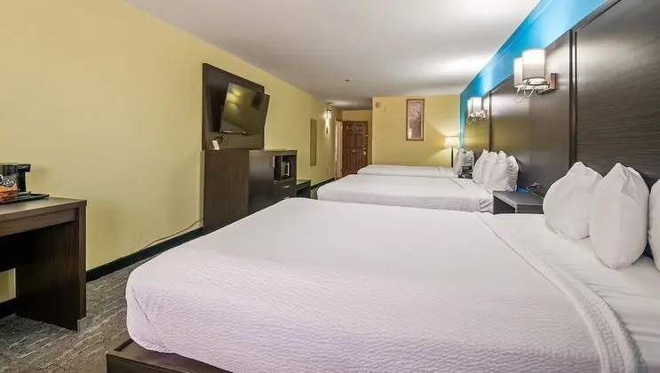 Oda, Birden Çok Yatak, Sigara İçilmez, Buzdolabı ve Mikrodalga