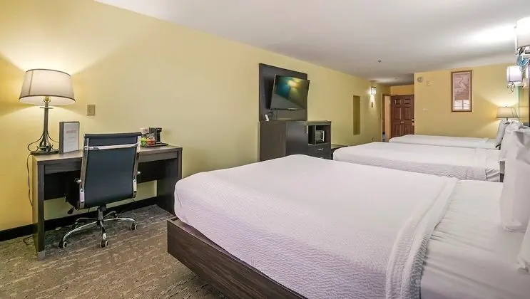 Oda, Birden Çok Yatak, Sigara İçilmez, Buzdolabı ve Mikrodalga