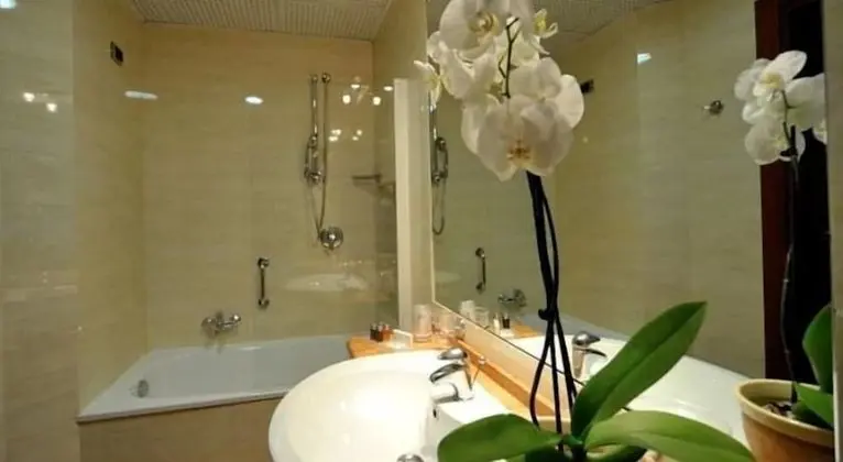 Superior Büyük Yataklı Tek Kişilik Oda