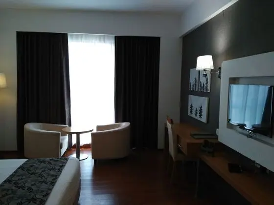 Deluxe Tek Büyük veya İki Ayrı Yataklı Oda