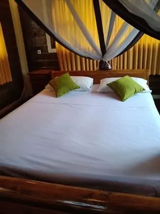 Villa (Double Bed room Plus Single Bed)