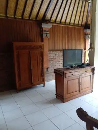 Villa (Double Bed room Plus Single Bed)