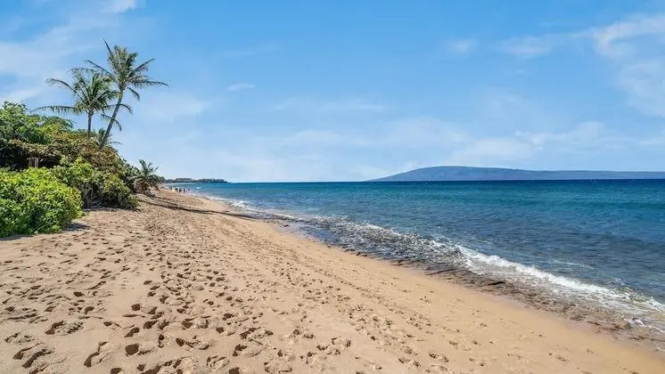 Daire, 1 Yatak Odası