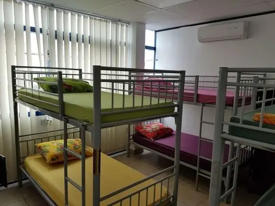 Ortak Ranzalı Oda, Karma Ranzalı Oda (Bed in 12-bed Mixed Dorm)
