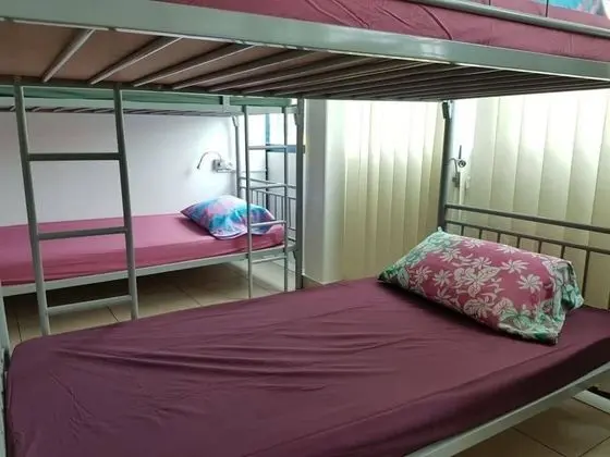 Ortak Ranzalı Oda, Karma Ranzalı Oda (Bed in 12-bed Mixed Dorm)
