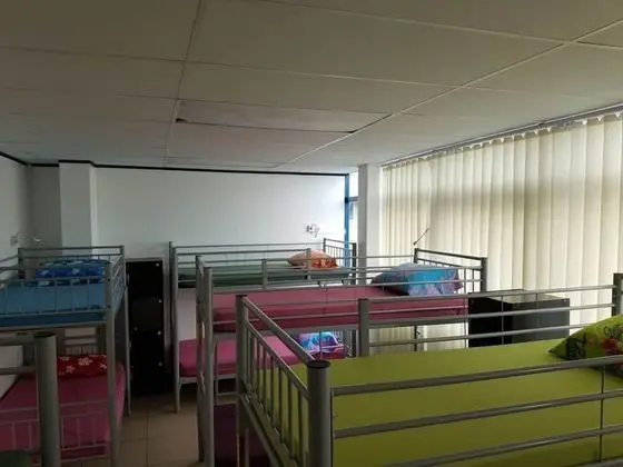 Ortak Ranzalı Oda, Karma Ranzalı Oda (Bed in 12-bed Mixed Dorm)