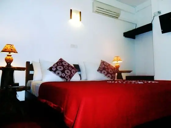 Deluxe Süit, 1 Yatak Odası, Sigara İçilebilir, Özel Banyo