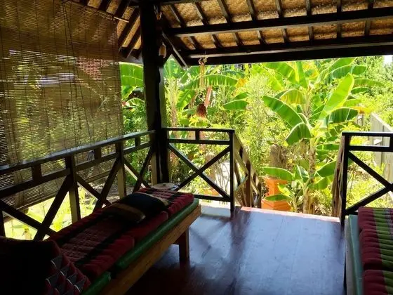 Standard Kır Evi (Bamboo)