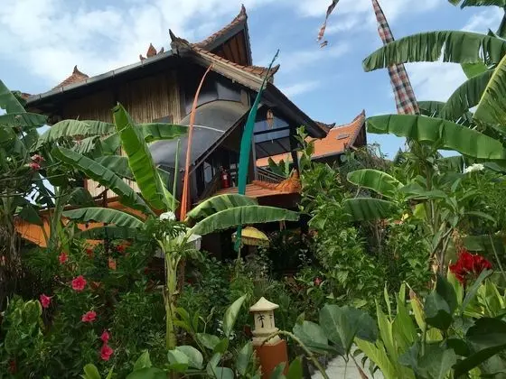 Superior Kır Evi (Coconut)