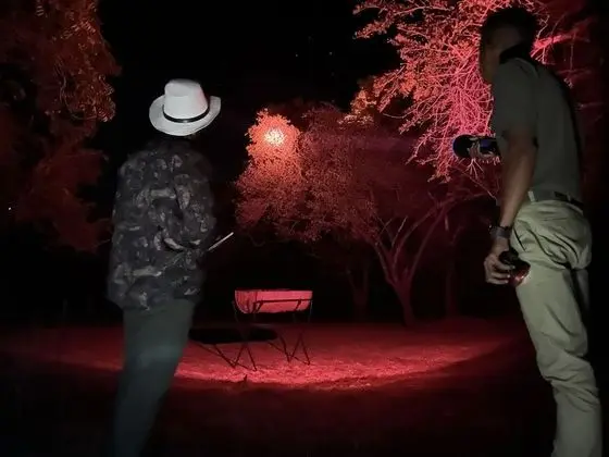 Wildlife Experience Tent - Bed & Breakfast