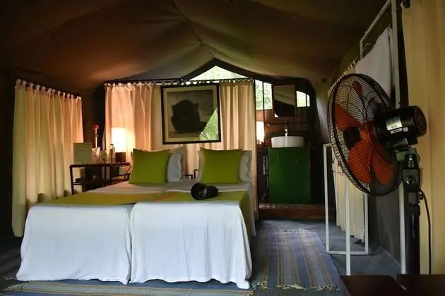 Wildlife Experience Tent - Bed & Breakfast