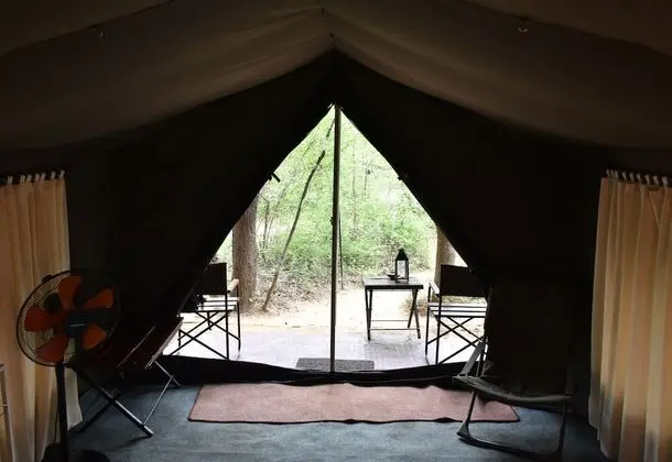 Wildlife Experience Tent - Bed & Breakfast