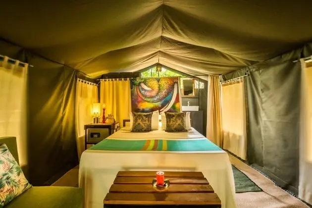 Wildlife Experience Tent with One Guided Safari, Night Walk & Cooking Demonstrations