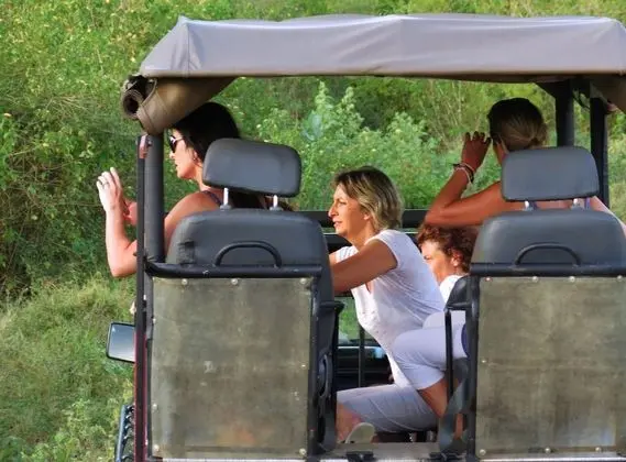 Wildlife Experience Tent with One Guided Safari, Night Walk & Cooking Demonstrations