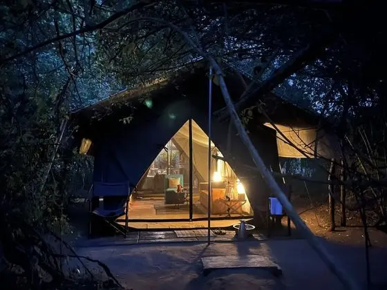 Wildlife Experience Tent with One Guided Safari, Night Walk & Cooking Demonstrations