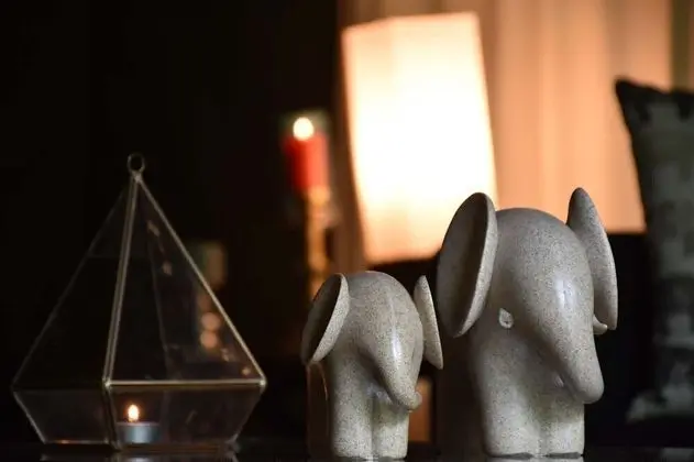 Wildlife Experience Tent with One Guided Safari, Night Walk & Cooking Demonstrations