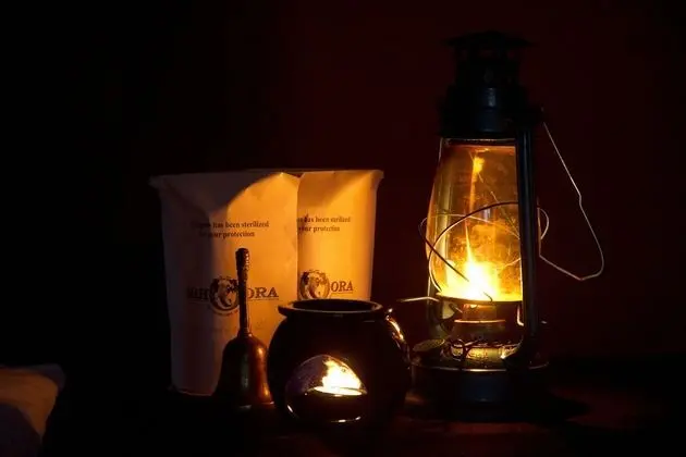 Wildlife Experience Tent with One Guided Safari, Night Walk & Cooking Demonstrations