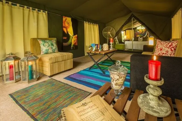 Wildlife Experience Tent with One Guided Safari, Night Walk & Cooking Demonstrations