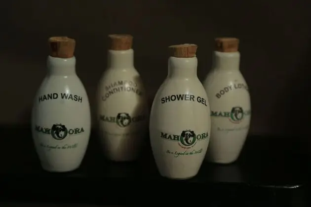 Wildlife Experience Tent with One Guided Safari, Night Walk & Cooking Demonstrations