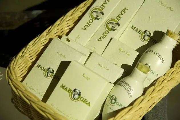 Wildlife Experience Tent with One Guided Safari, Night Walk & Cooking Demonstrations