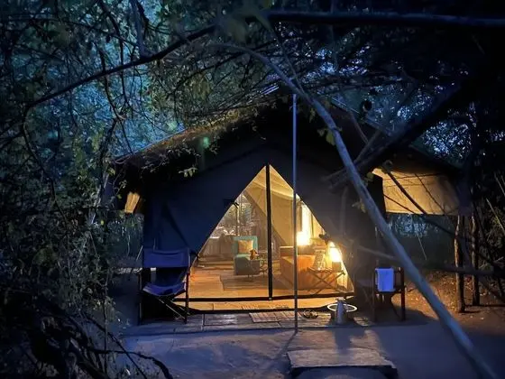 Wildlife Experience Tent - Bed & Breakfast