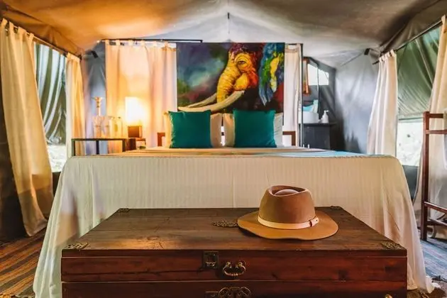 Wildlife Experience Tent with One Guided Safari, Night Walk & Cooking Demonstrations