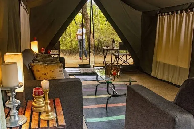 Wildlife Experience Tent with One Guided Safari, Night Walk & Cooking Demonstrations