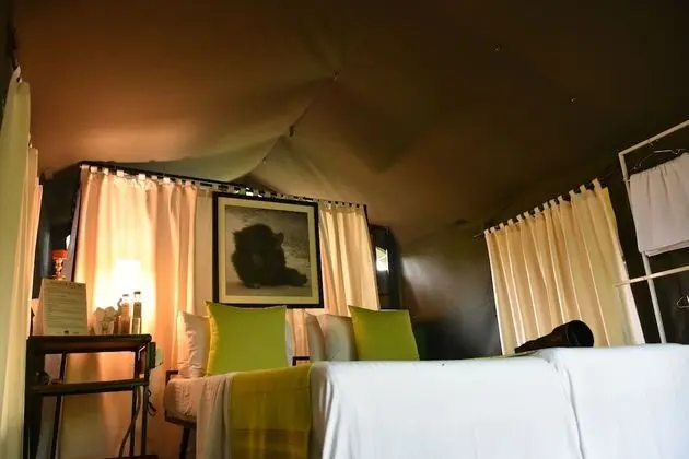 Wildlife Experience Tent with One Guided Safari, Night Walk & Cooking Demonstrations