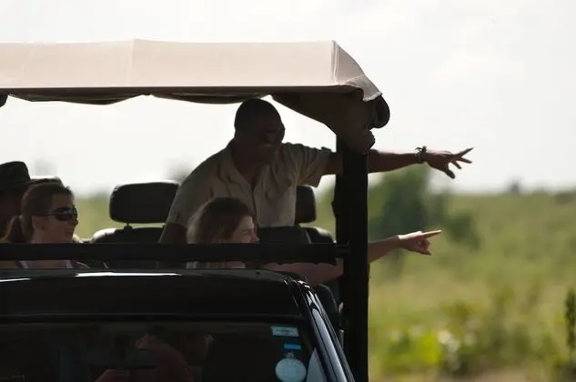 Family Glamping Suite bordering Yala with a Guided Safari