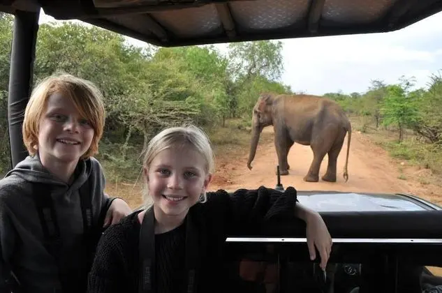 Family Glamping Suite bordering Yala with a Guided Safari