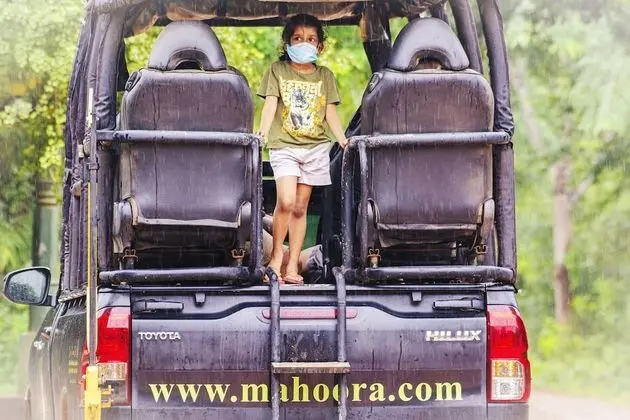 Family Glamping Suite bordering Yala with a Guided Safari