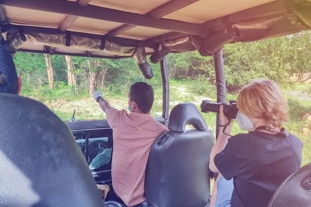 Family Glamping Suite bordering Yala with a Guided Safari