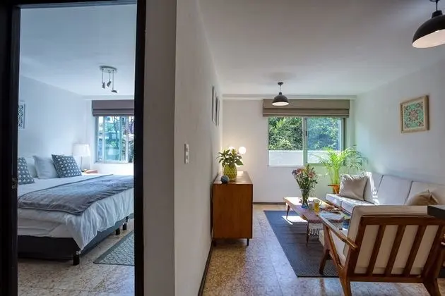 Deluxe Stüdyo, 1 Yatak Odası, Şehir Manzaralı