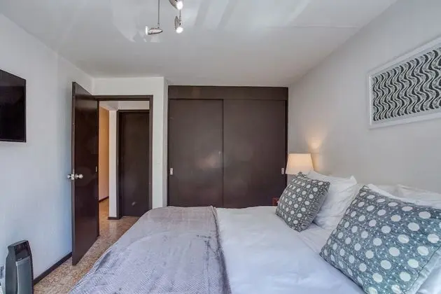 Deluxe Stüdyo, 1 Yatak Odası, Şehir Manzaralı