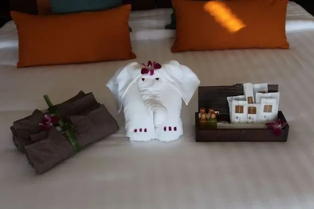 Deluxe Oda, Havuz Kullanımı