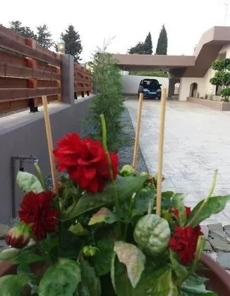 Villa, Birden Çok Yatak