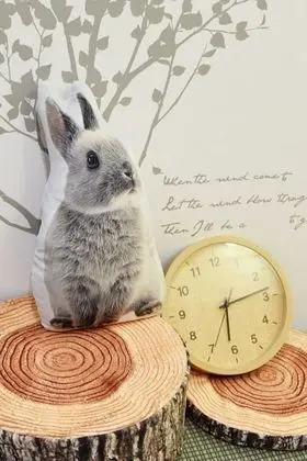 Ev, 4 Yatak Odası