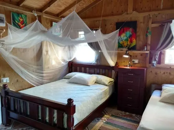 Studio Cabin