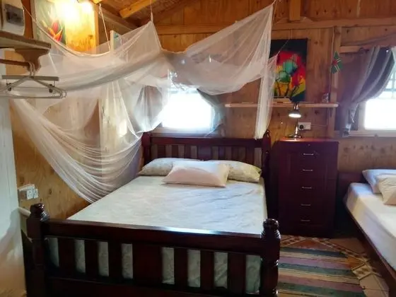 Studio Cabin