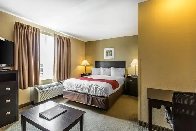 Süit, 1 Büyük (Queen) Boy Yatak, Engellilere Uygun, Sigara İçilmez (Efficiency)