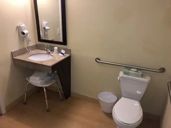 Süit, 1 Büyük (Queen) Boy Yatak, Engellilere Uygun, Sigara İçilmez (Efficiency)