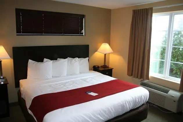 Süit, 1 En Büyük (King) Boy Yatak ve Çekyat