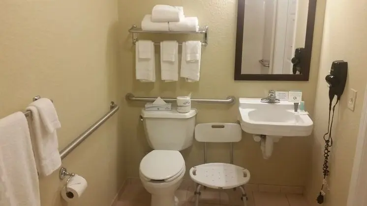 Oda, 1 En Büyük (King) Boy Yatak, Engellilere Uygun, Sigara İçilmez (Bathtub)