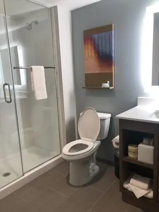 Süit, 1 En Büyük (King) Boy Yatak, Sigara İçilmez (Efficiency)