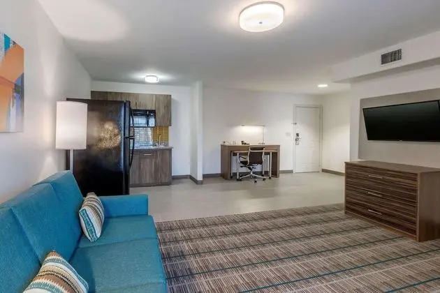 Süit, 1 Yatak Odası, Sigara İçilmez, Mutfak (Living Room with Sofa Bed)