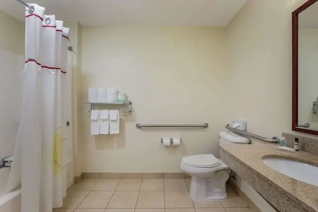 Süit, 1 En Büyük (King) Boy Yatak, Engellilere Uygun, Sigara İçilmez (Efficiency, Accessible Tub)