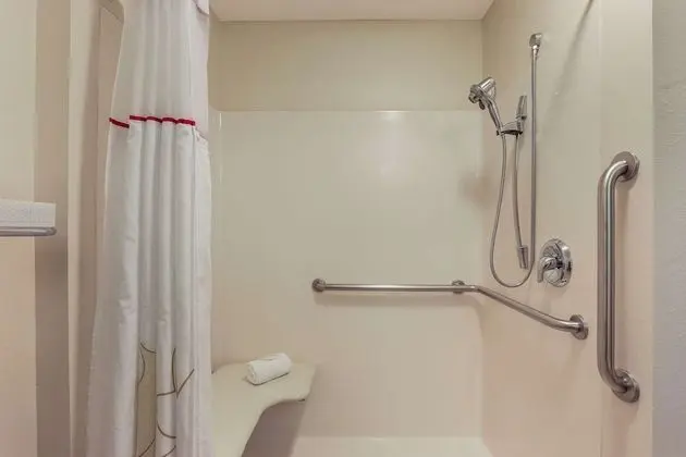Süit, 1 En Büyük (King) Boy Yatak, Engellilere Uygun, Sigara İçilmez (Efficiency, Roll-in Shower)
