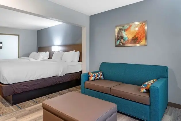 Süit, 1 En Büyük (King) Boy Yatak (Pet-Friendly)