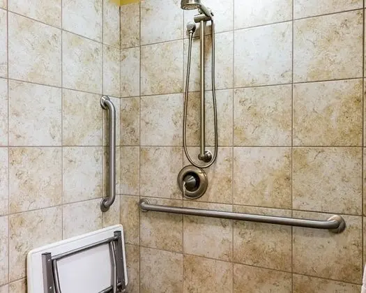 Süit, 2 Büyük (Queen) Boy Yatak, Engellilere Uygun, Sigara İçilmez (Efficiency)