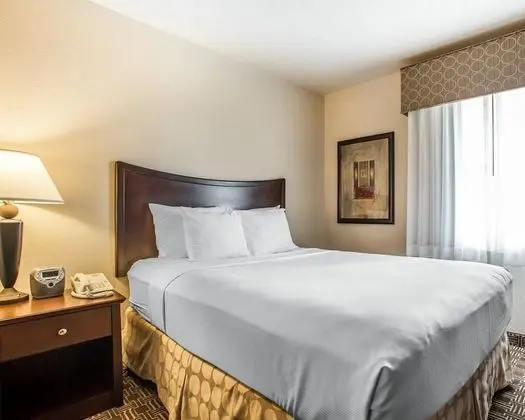 Lowest Priced Room - No Separate Rooms, All One Open Room
